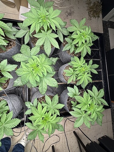 Growreport Bild 8