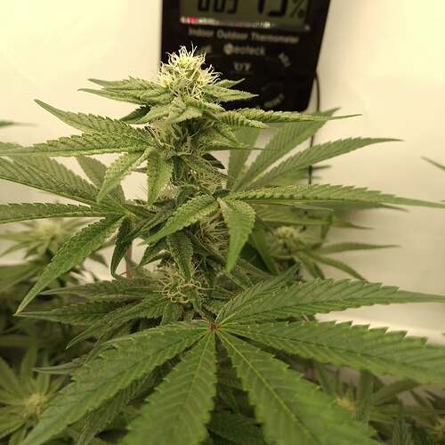 474591943_122165768762293599_4530929726565584341_n