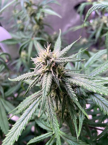 Growreport Bild 13