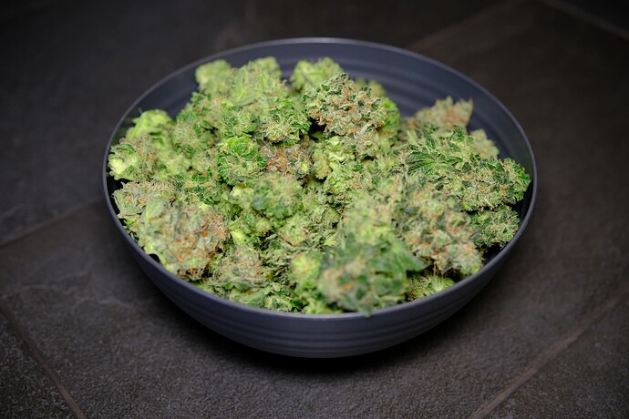 Growreport Bild 7