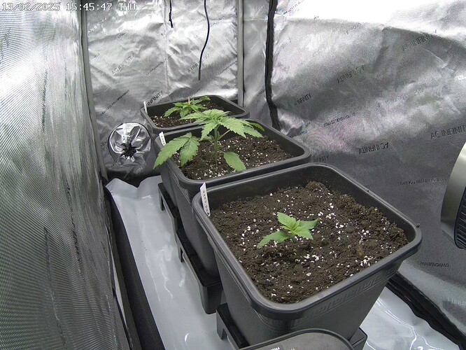 Growreport Bild 11