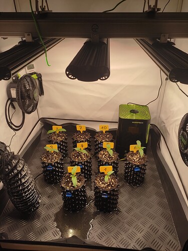 Growreport Bild 10