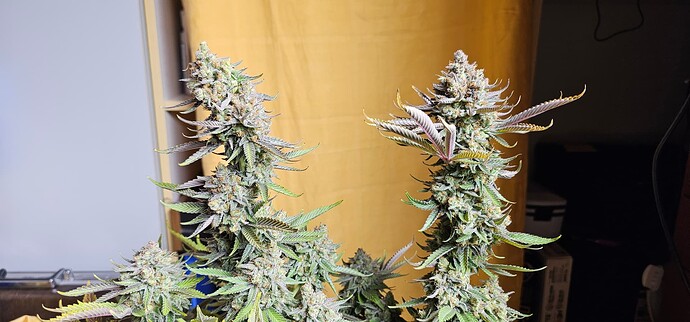 Growreport Bild 9