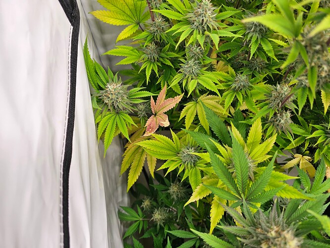 Growreport Bild 9