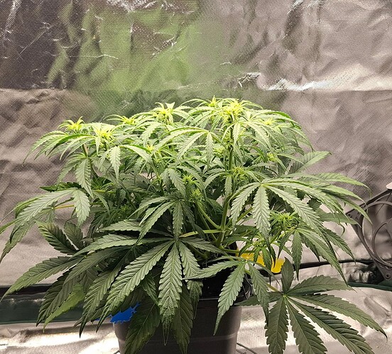 Growreport Bild 6