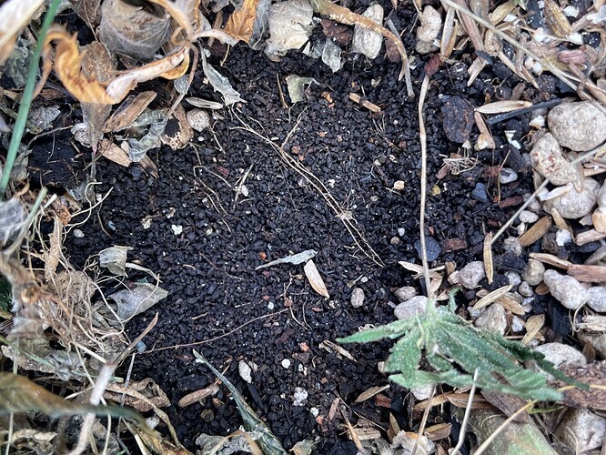 Growreport Bild 10