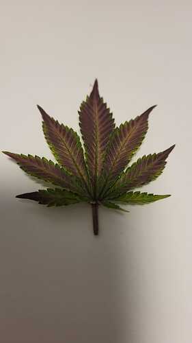104 - blatt3