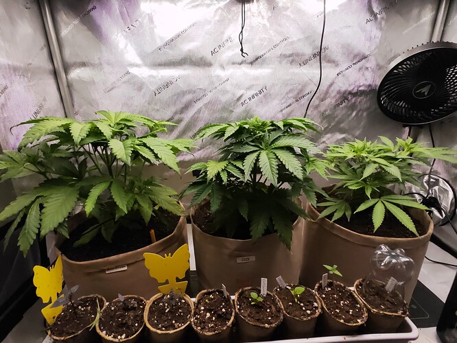 Growreport Bild 17