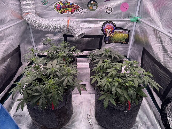 Growreport Bild 16