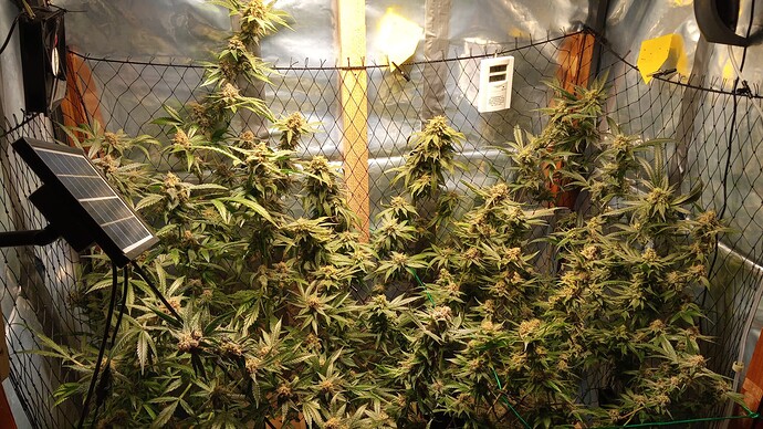 Growreport Bild 8