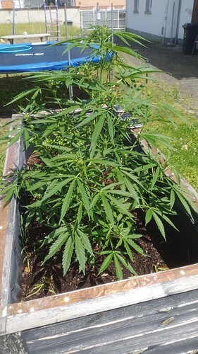 Growreport Bild 10