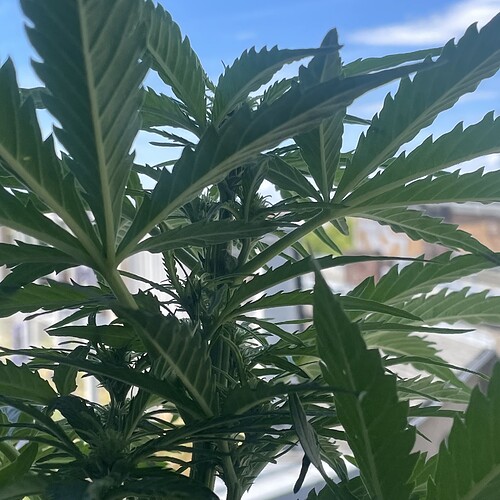 Growreport Bild 15