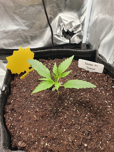 Growreport Bild 4