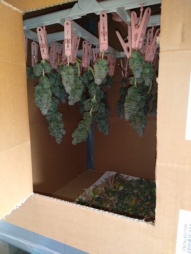 Growreport Bild 7