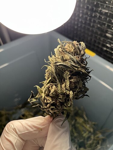 photo_2024-11-04_23-25-20