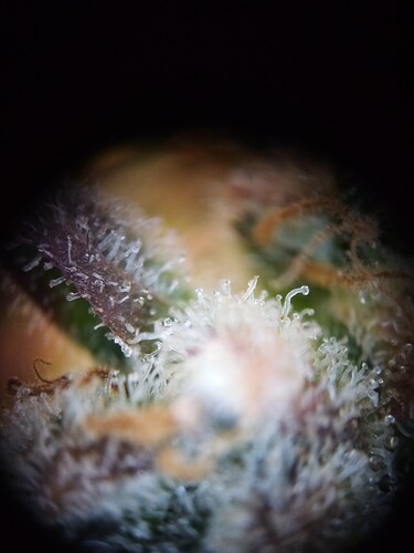 Growreport Bild 13