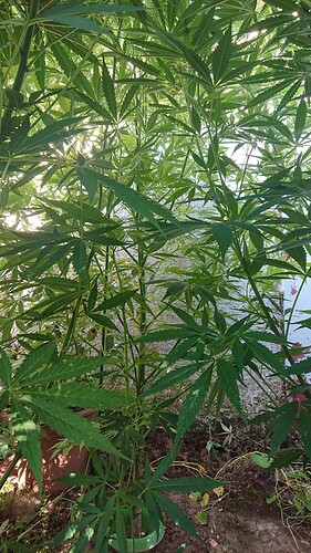 Growreport Bild 10