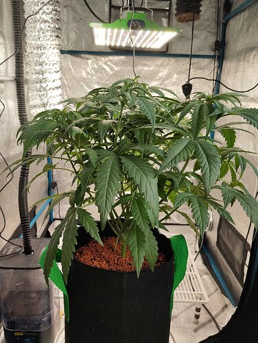Growreport Bild 2