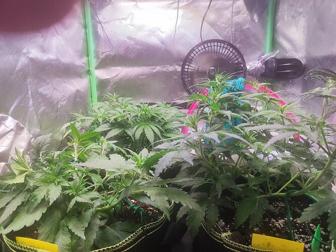 Growreport Bild 8