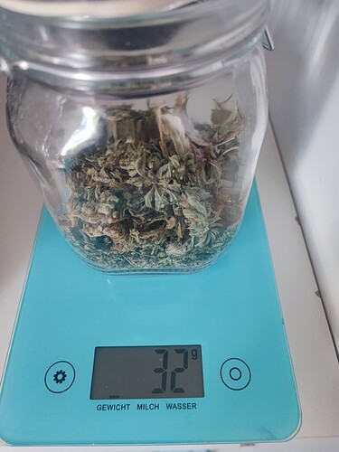 Growreport Bild 17