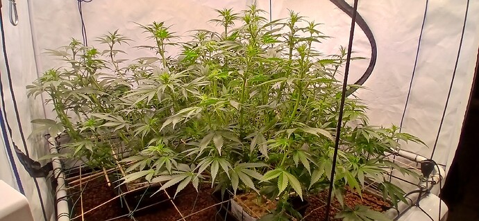 Growreport Bild 10