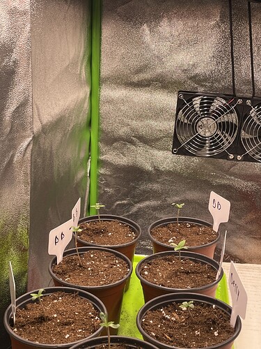 Growreport Bild 3
