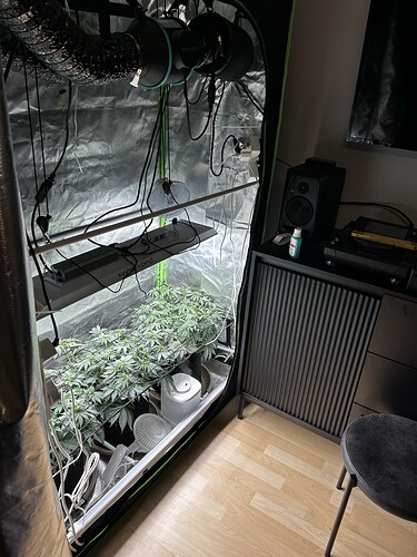 Growreport Bild 16