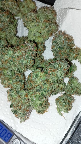 Growreport Bild 1