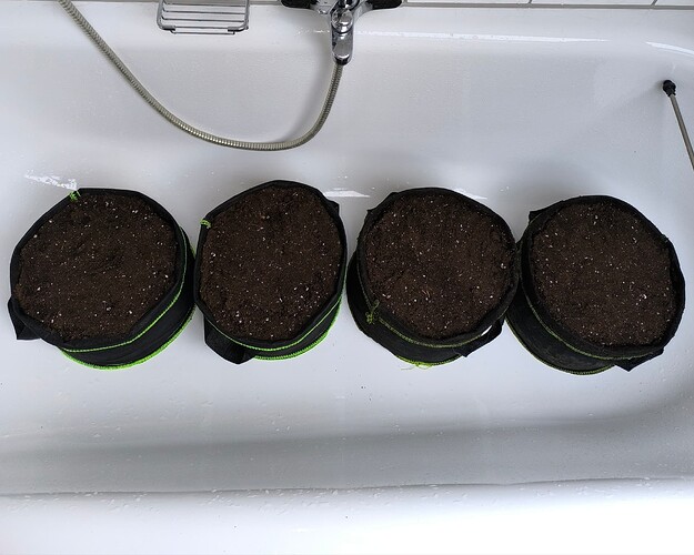 Growreport Bild 32