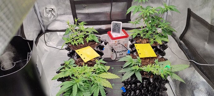 IMG_20250928_092156112