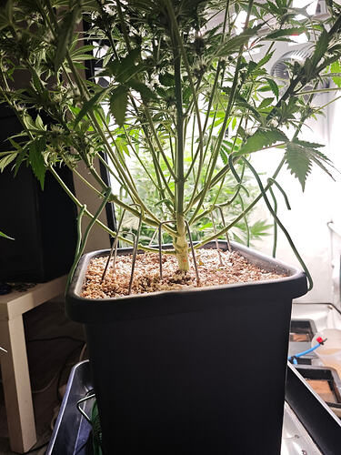Growreport Bild 17