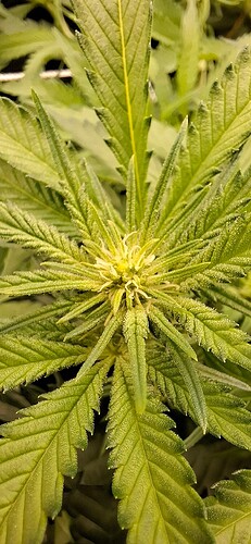 Growreport Bild 7