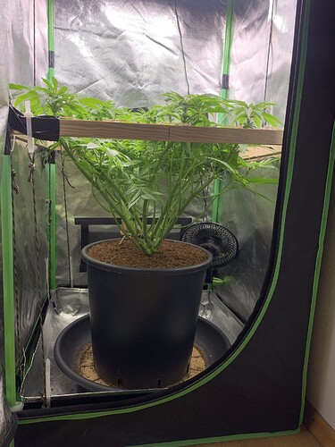 Growreport Bild 16