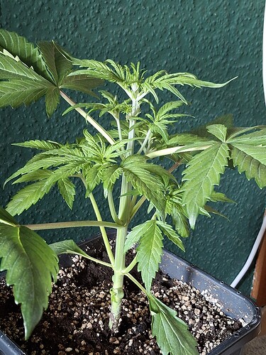 Growreport Bild 15