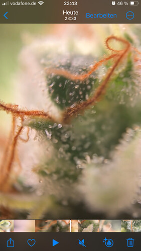Growreport Bild 13