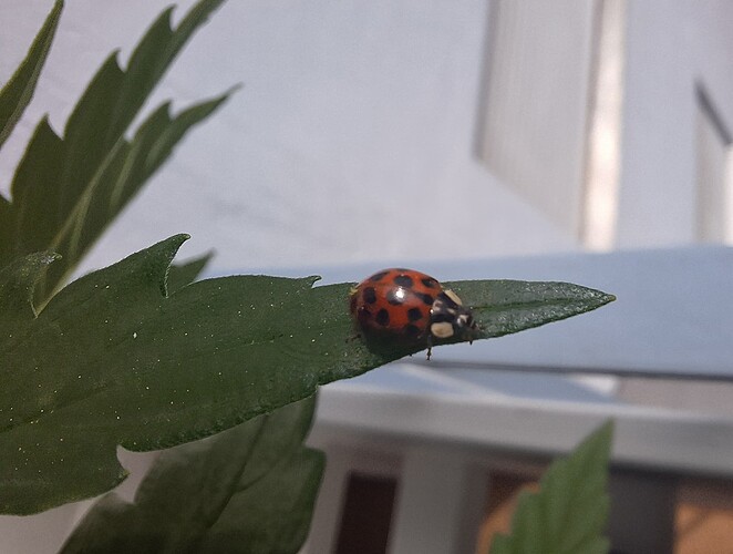 Growreport Bild 13