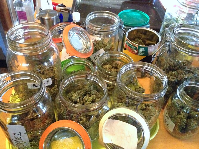 Grow25_1105_glaeser_2