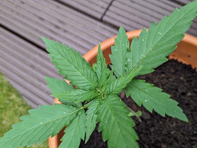 PXL_20240520_130952566