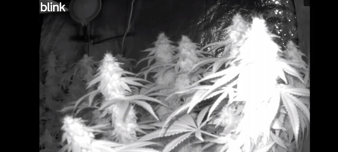 Growreport Bild 2