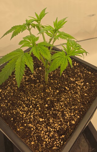 Growreport Bild 10