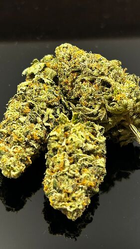 Growreport Bild 14