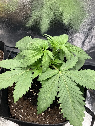 Growreport Bild 21