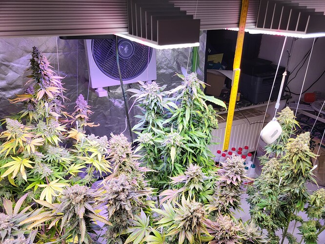 Growreport Bild 2
