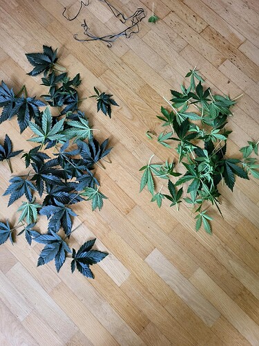 Growreport Bild 18