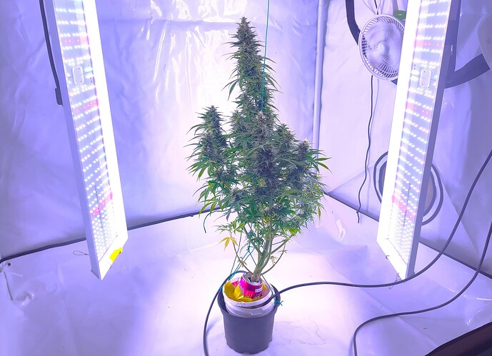 Growreport Bild 6