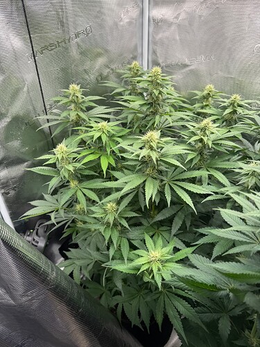 Growreport Bild 12