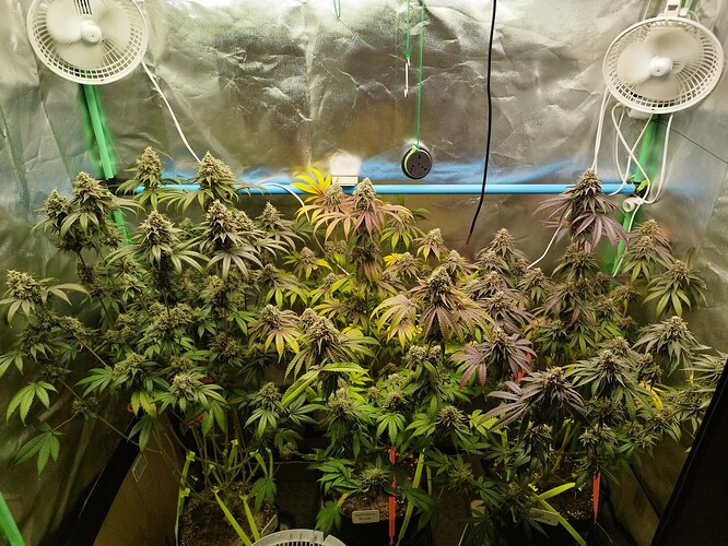 Growreport Bild 12