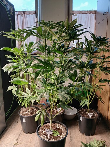 Growreport Bild 10