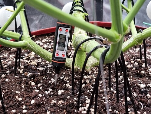 Growreport Bild 6