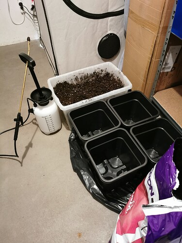 Growreport Bild 7